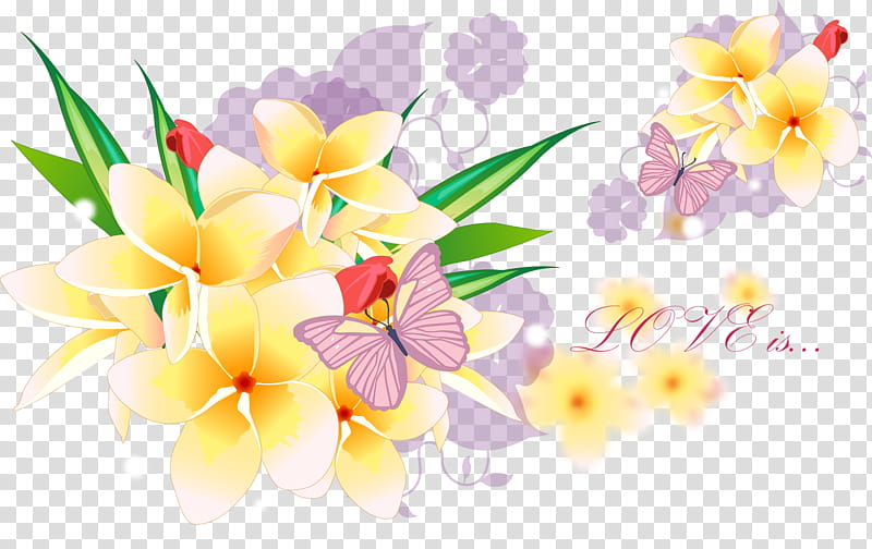 Watercolor Flower, Floral Design, Petal, Flower Bouquet, Cut Flowers, Singapore Graveyard Flower, Floristry, Frangipani transparent background PNG clipart