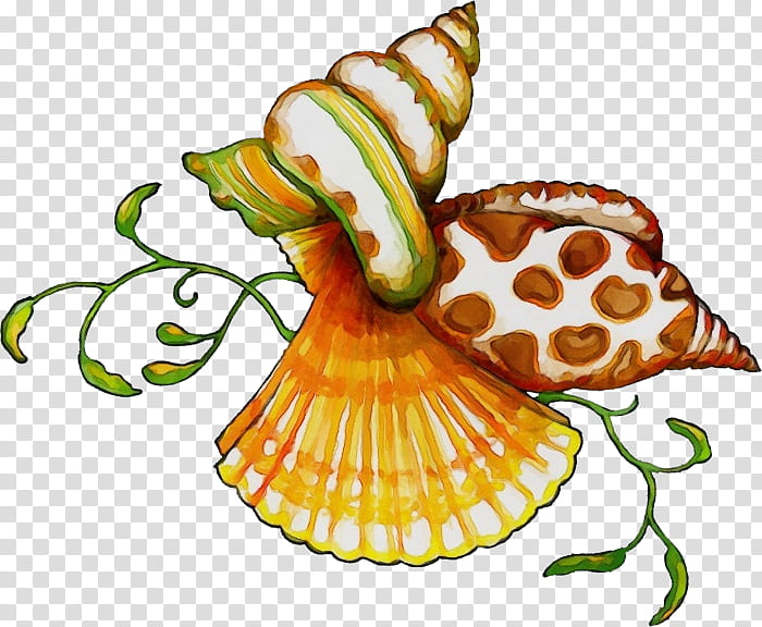Watercolor Flower, Paint, Wet Ink, Drawing, Snail, Seashell, Royaltyfree, Cartoon transparent background PNG clipart