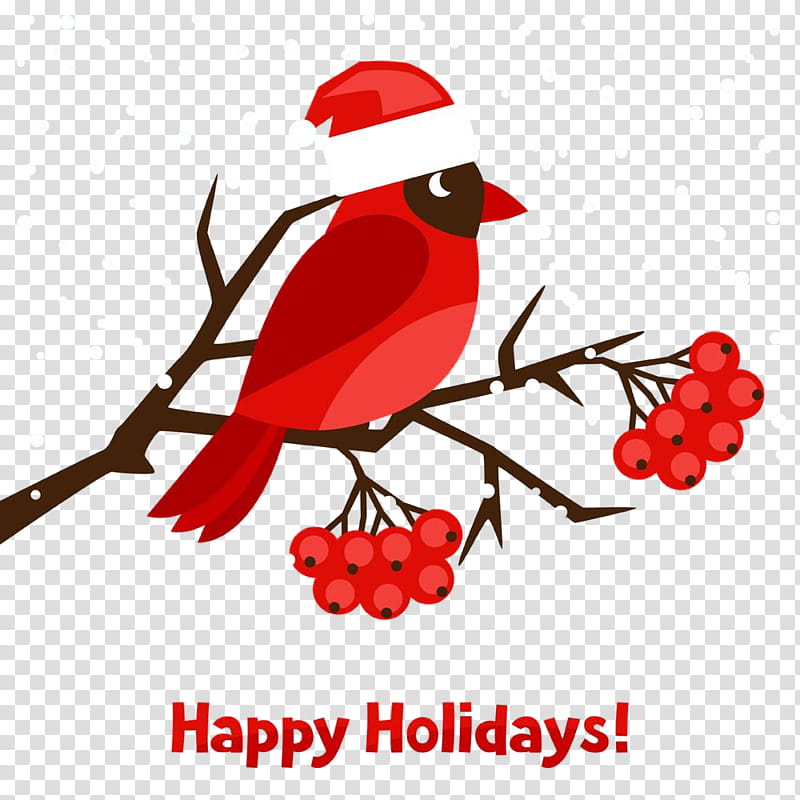 bird branch cardinal songbird, Perching Bird, Twig, Plant, Beak transparent background PNG clipart