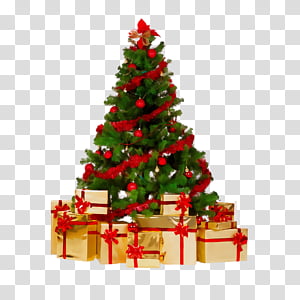 Christmas tree, Watercolor, Paint, Wet Ink, Christmas Decoration, Christmas Ornament, Christmas 
, Colorado Spruce transparent background PNG clipart thumbnail