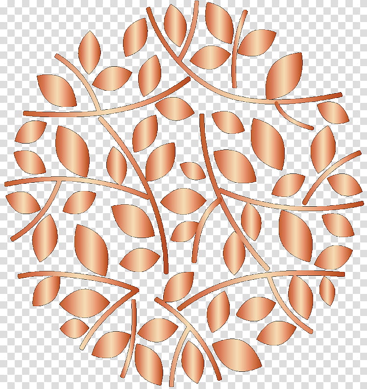 Oil, Nashi Argan, Nashi Argan Oil, Health, Hair Care, Shampoo, Food, Food Science transparent background PNG clipart