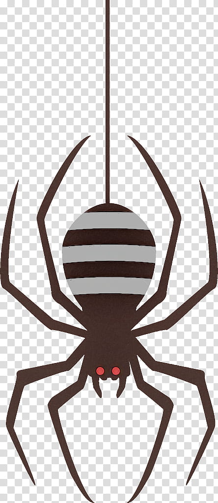 spider halloween, Halloween , Arachnid, Insect, Widow Spider, Pest, Decapoda transparent background PNG clipart