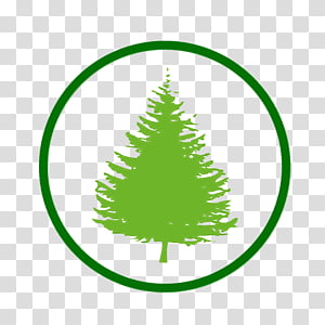 Christmas tree, Watercolor, Paint, Wet Ink, Colorado Spruce, Oregon Pine, Christmas Decoration, Green transparent background PNG clipart thumbnail