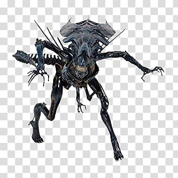 Xenomorph Transparent Background Png Clipart Hiclipart