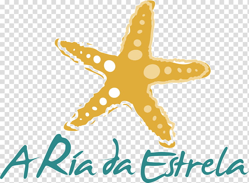 Starfish, Muros Eta Noiako Itsasadarra, Porto Do Son, Outes, Ria, Kota Kinabalu, Galicia, Text transparent background PNG clipart