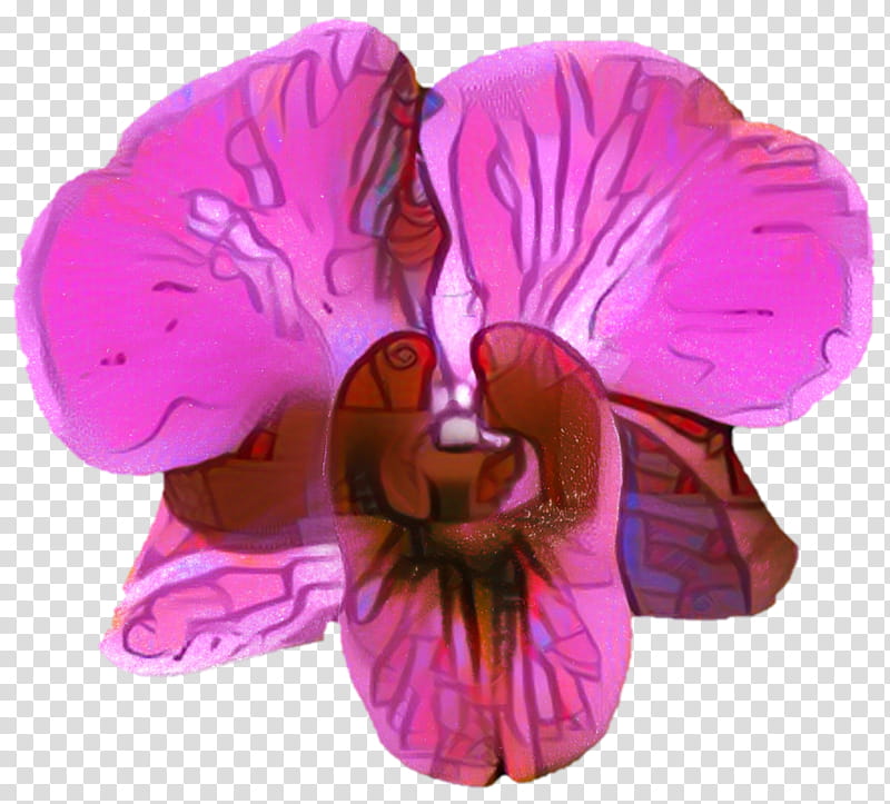 Sweet Pea Flower, Belur Math, Vrindavan, Jayrambati, Krishna, Lilac, Lakshmi, Violet transparent background PNG clipart