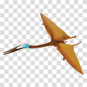 Pterosaur PNG, Vector, PSD, and Clipart With Transparent Background for  Free Download