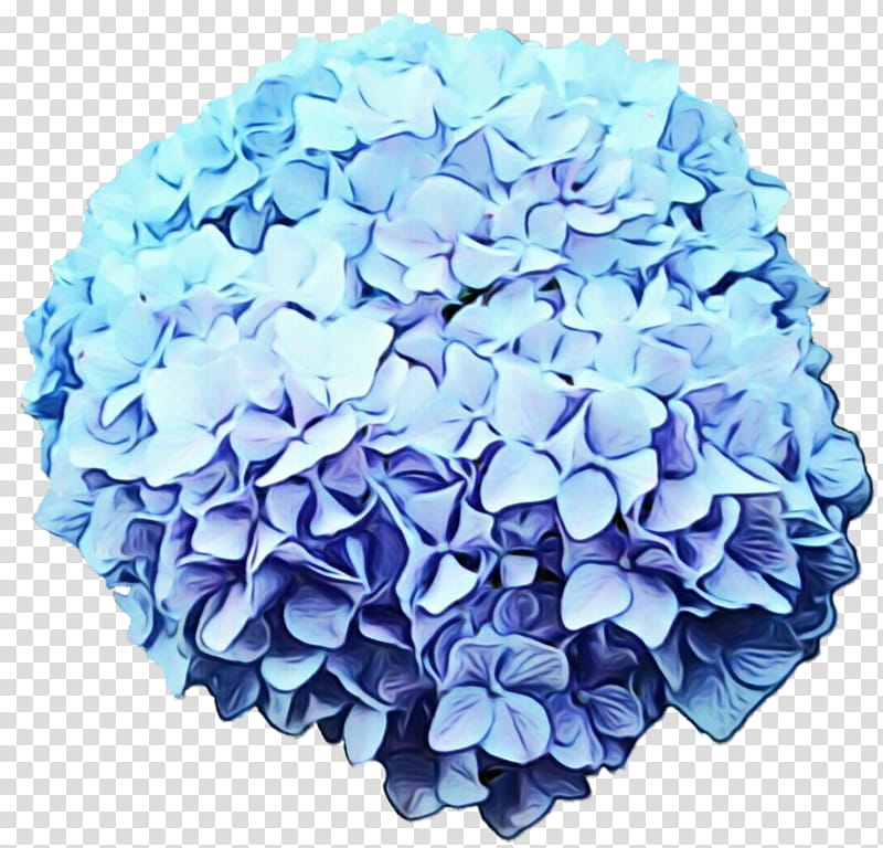 Blue Watercolor Flowers, Paint, Wet Ink, Hydrangea, Cut Flowers, Flower Bouquet, Petal, Hydrangeaceae transparent background PNG clipart