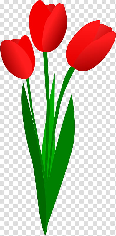 Love Background Heart, Tulip, Flower, Flower Bouquet, Red, Cartoon, Floral Design, Plant Stem transparent background PNG clipart