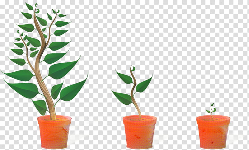 Flower Garden, Plants, Grow Light, Genotype, Plant Breeding, Experiments On Plant Hybridization, Genetics, Phenotype transparent background PNG clipart