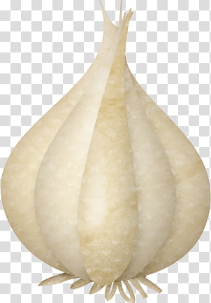 white garlic close-up transparent background PNG clipart