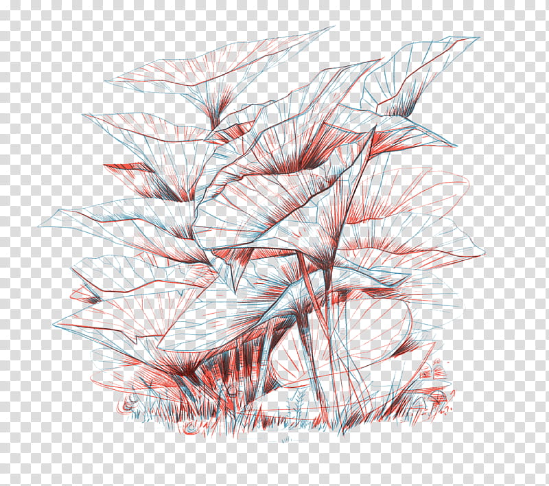 Flower Line Art, Drawing, M02csf, Caravel, Web Design, Square Rig, Leaf, Botany transparent background PNG clipart