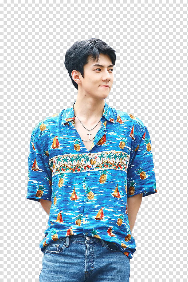 Sehun Exo transparent background PNG clipart
