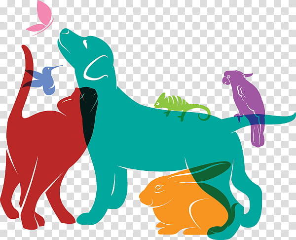 Dog And Cat, Puppy, Pet, Pet Sitting, Dog Walking, Pet Shop, Veterinarian, Tail transparent background PNG clipart