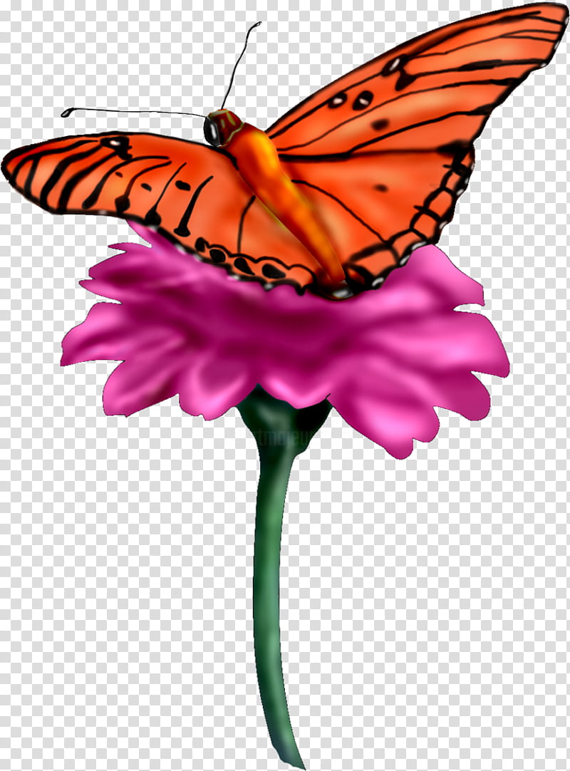 Flower Painting, Monarch Butterfly, Borboleta, Pieridae, Brushfooted Butterflies, Clouded Yellows, Glasswing Butterfly, Tiger Milkweed Butterflies transparent background PNG clipart