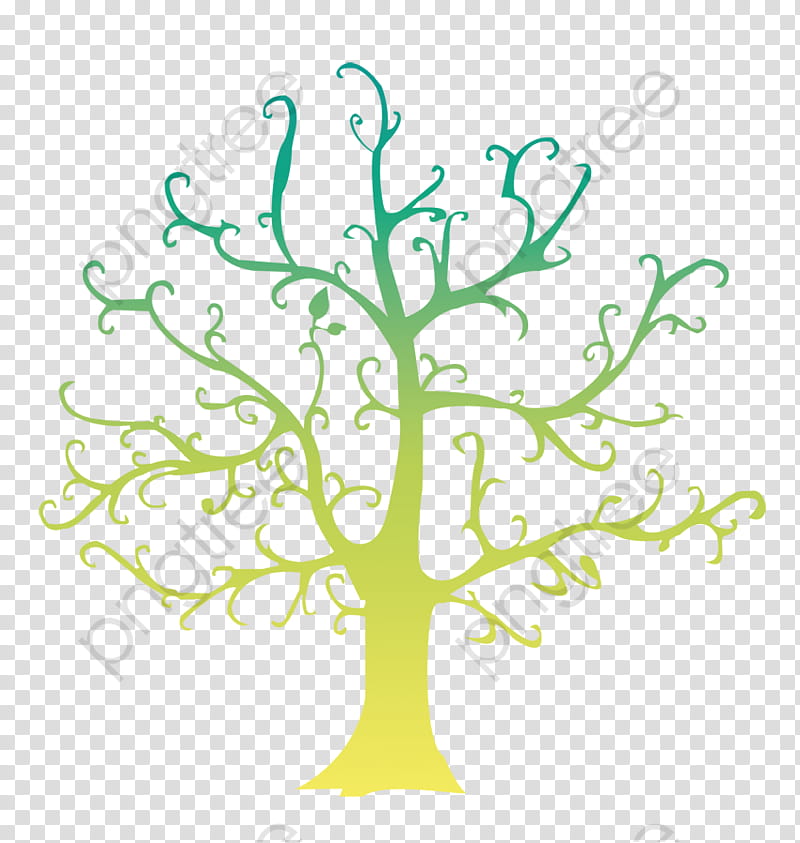 Family Tree Drawing, Genealogy, Macfamilytree, Family Tree Maker, Ancestor, Green, Leaf, Branch transparent background PNG clipart