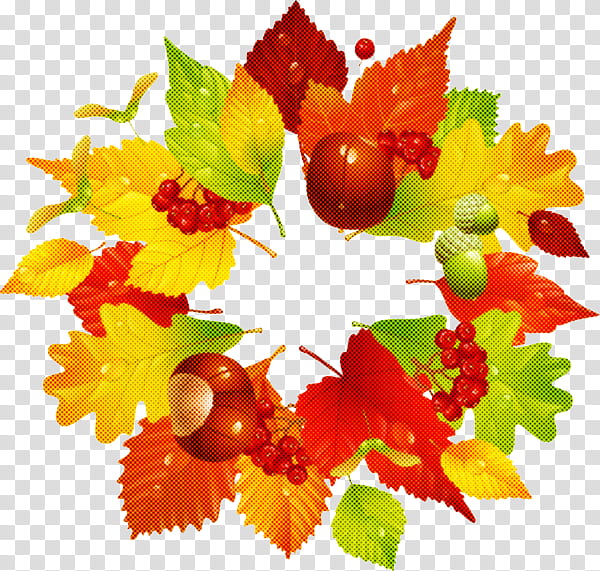 Holly, Leaf, Plant, Tree, Flower, Autumn, Viburnum, Plane transparent background PNG clipart