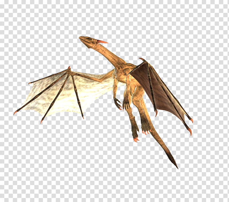 E S genesis Spectral Dragon  flaying poses, brown dragon transparent background PNG clipart