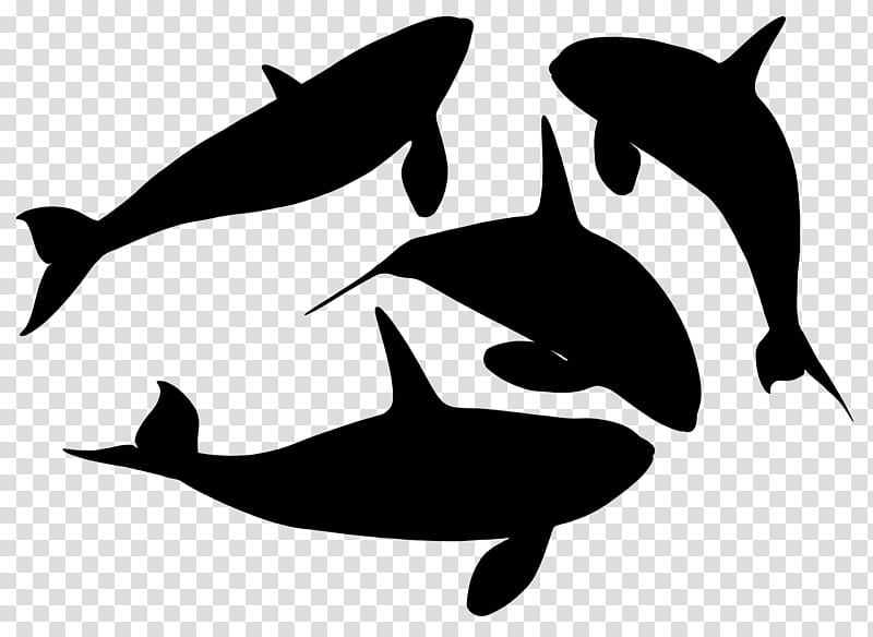 Whale, Dolphin, Porpoise, Killer Whale, Whales, Line, Silhouette, Cetacea transparent background PNG clipart