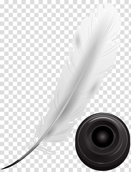 Paper, Quill, Ink, Inkwell, Pen, Drawing, Feather, Black And White transparent background PNG clipart