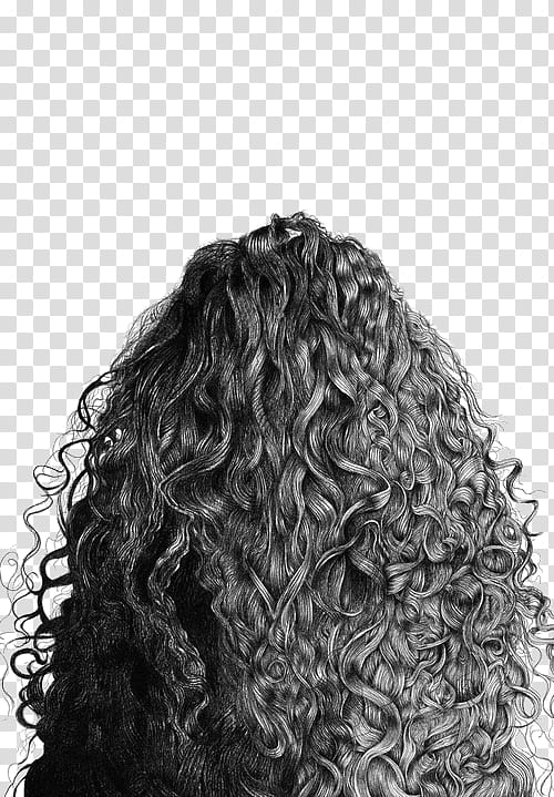 Style, curly hair sketch transparent background PNG clipart