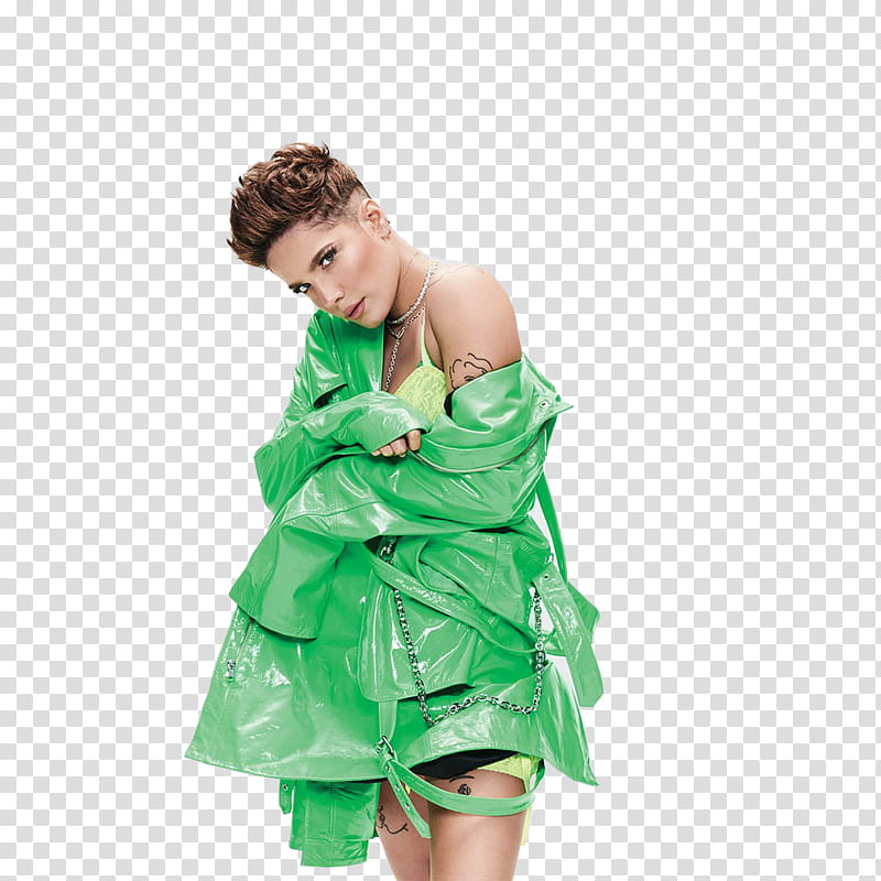 Halsey transparent background PNG clipart