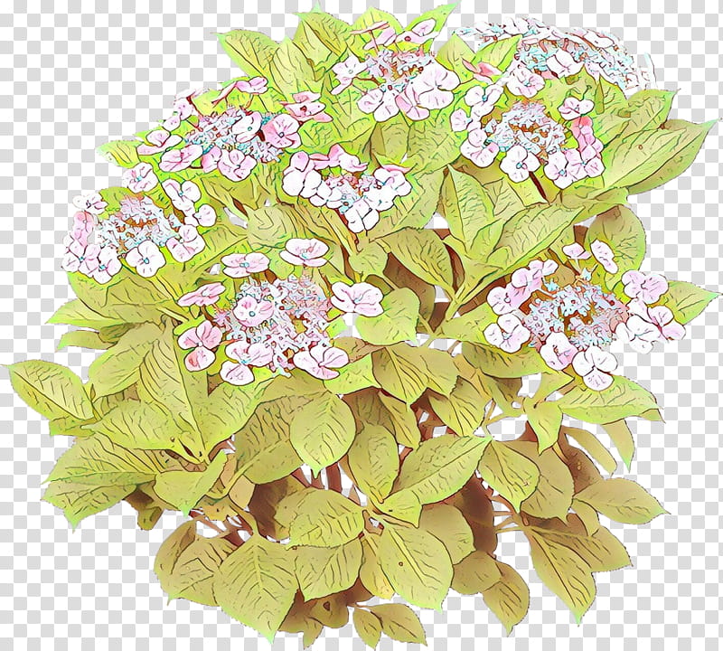 flower plant flowering plant lilac hydrangeaceae, Cartoon, Leaf, Cut Flowers, Cornales, Bouquet transparent background PNG clipart