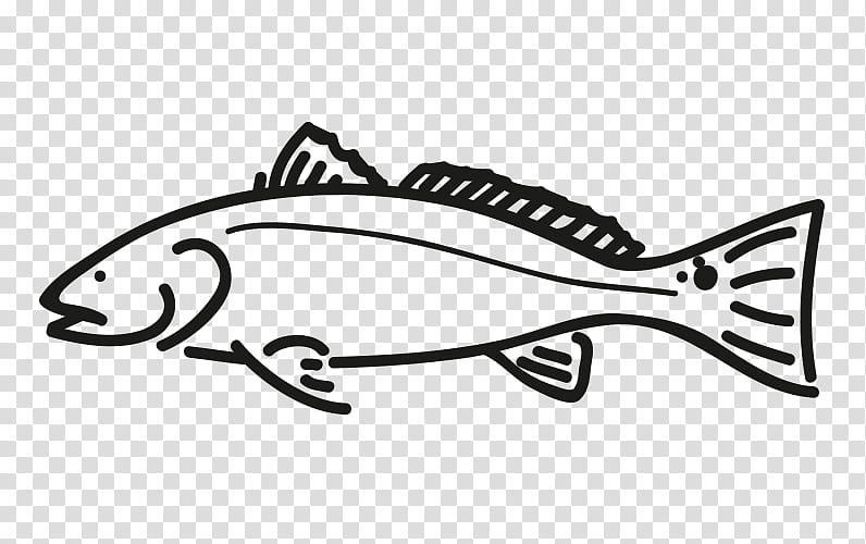 Fish, Greenland Halibut, Fillet, Coryphaenoides Rupestris, Merluccius Capensis, Argentine Hake, Macrourus Berglax, Deepwater Redfish transparent background PNG clipart