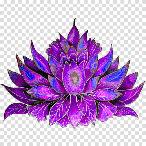 Purple aesthetic , purple flower illustration transparent background PNG clipart