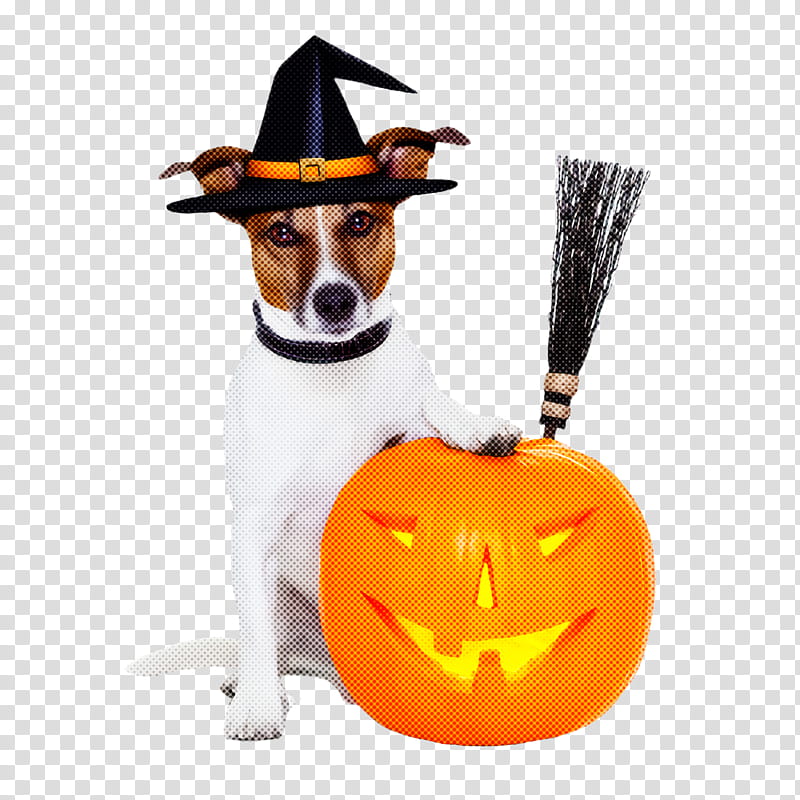 dog trick-or-treat hat costume, Trickortreat transparent background PNG clipart