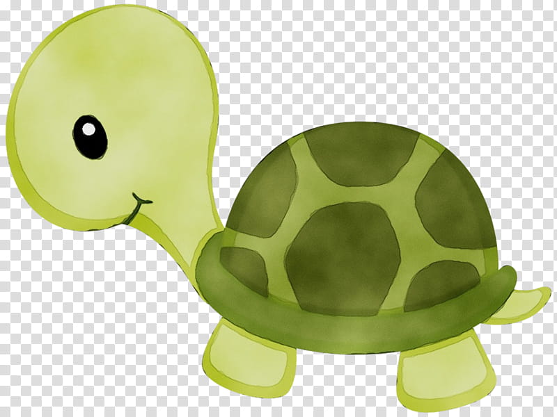 Sea Turtle, Drawing, Blanket, Poster, Video, Cartoon, Tortoise, Green transparent background PNG clipart