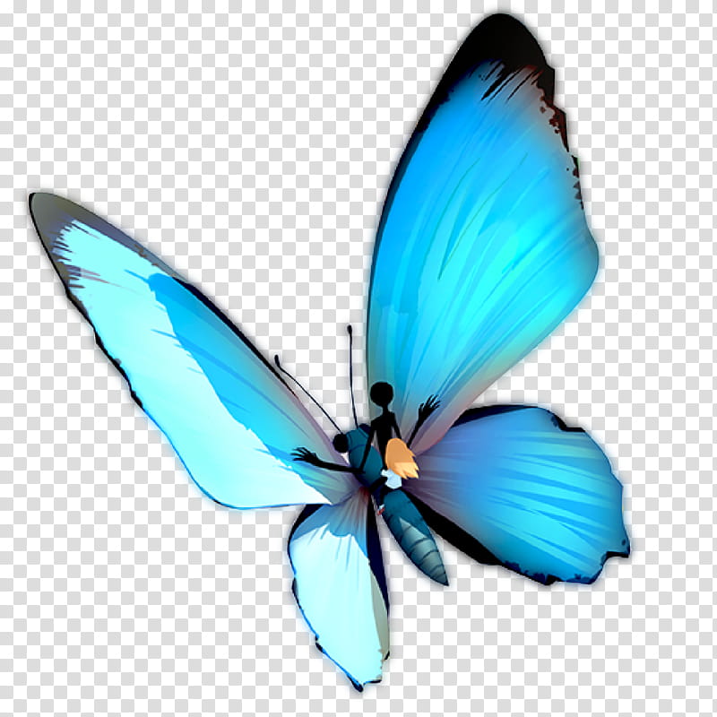 S, blue butterfly transparent background PNG clipart | HiClipart