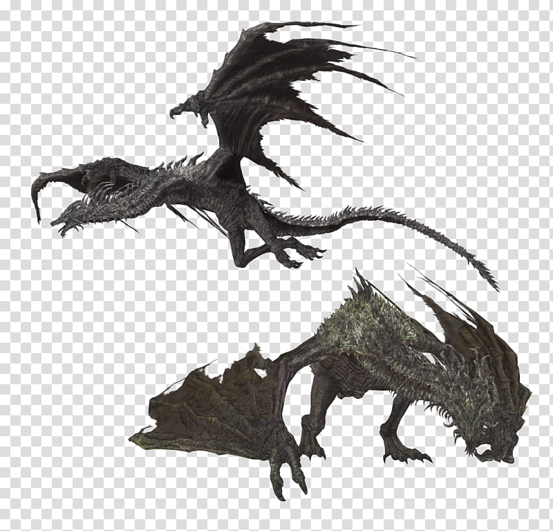 Lotric Wyverns, two black dragons transparent background PNG clipart