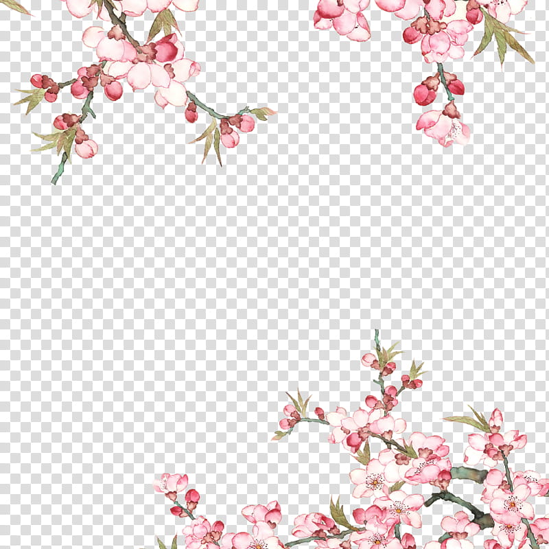 Flower Art Watercolor, Cherry Blossom, Poster, Watercolor Painting, Spring
, Pink, Branch, Flora transparent background PNG clipart