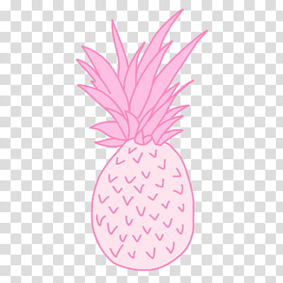 pineapple transparent tumblr