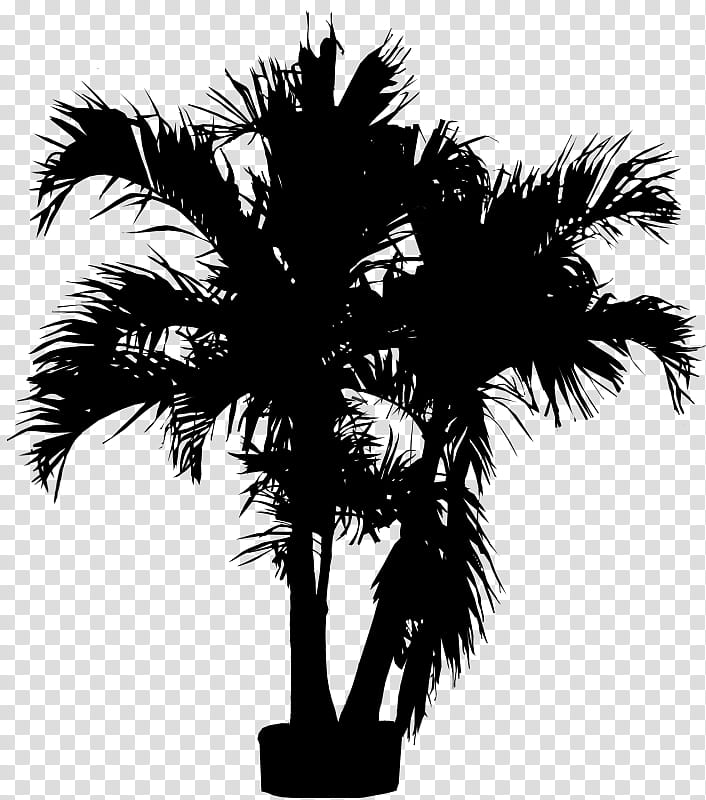 Palm Tree Silhouette, Asian Palmyra Palm, Babassu, Black White M, Palm Trees, Date Palm, Plant Stem, Plants transparent background PNG clipart