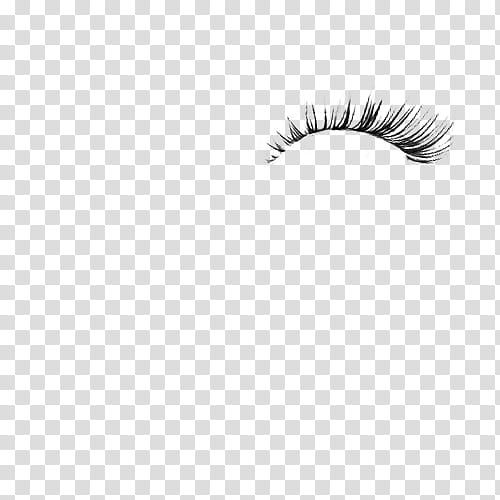 variados, eyelash transparent background PNG clipart