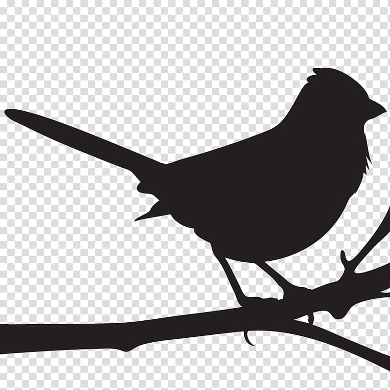 Mockingbird, Cornell Lab Of Ornithology, Towhee, All About Birds, Spotted Towhee, Sparrow, Eastern Towhee, American Sparrows transparent background PNG clipart