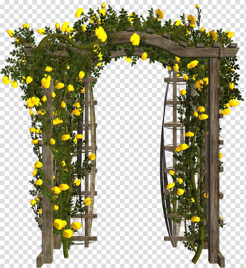 Various Garden Items , yellow petaled flowers transparent background PNG clipart