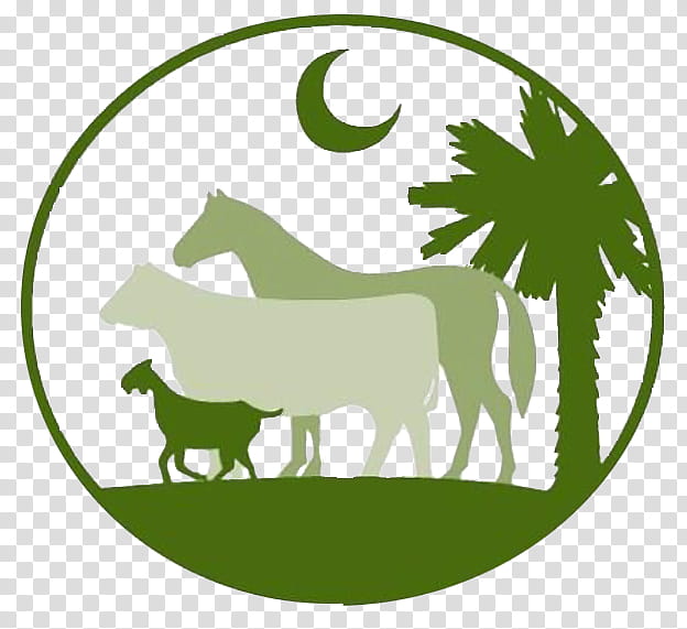 Green Leaf Logo, South Carolina Lowcountry, Okatie South Carolina, Hilton Head Island, Bluffton, Savannah, Carolina Marsh Tacky, Cattle transparent background PNG clipart