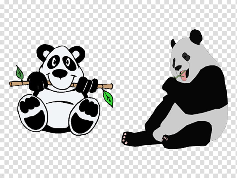 Bear, Giant Panda, Drawing, Cartoon, Cuteness, Animation, Cutout Animation, Humour transparent background PNG clipart