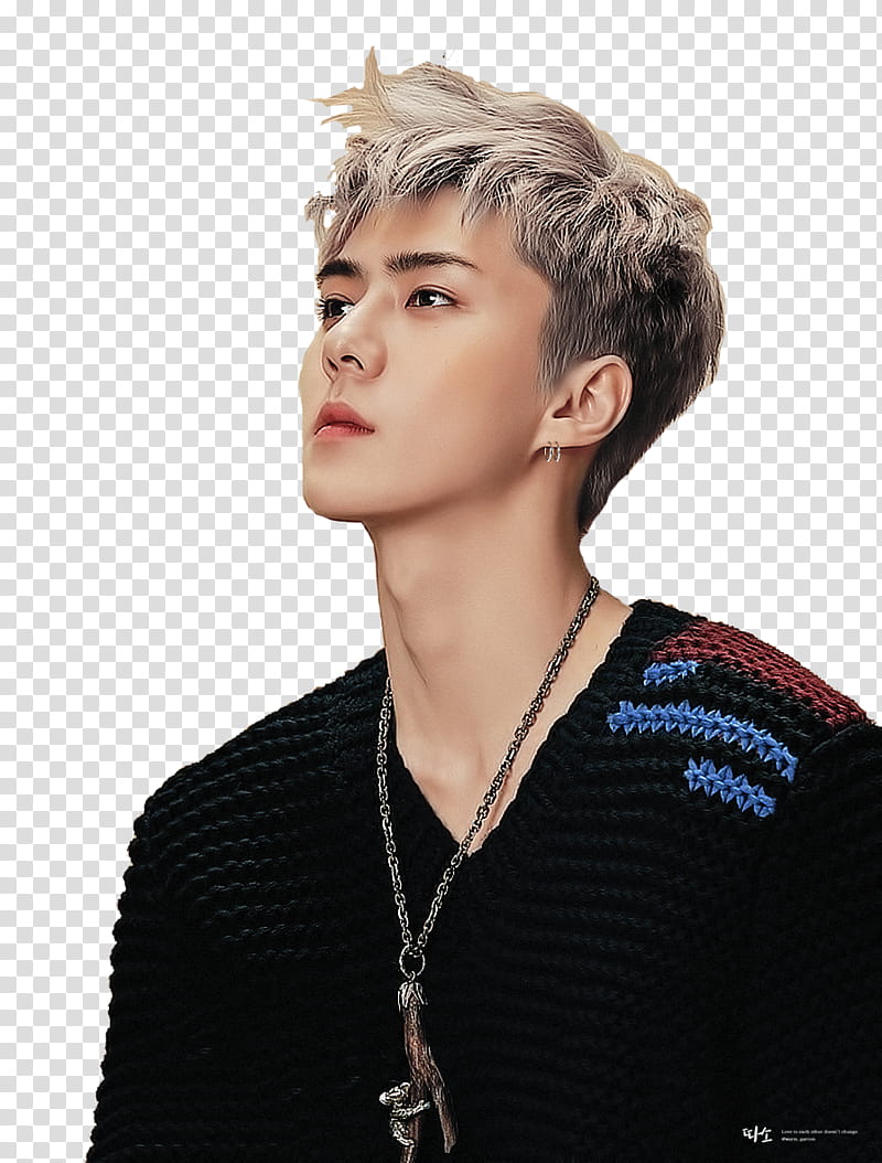 OH SEHUN , EXO Sehun transparent background PNG clipart
