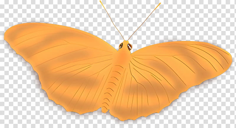 Orange, Butterfly, Pendant, Necklace, Yellow, Moths And Butterflies, Insect, Pollinator transparent background PNG clipart