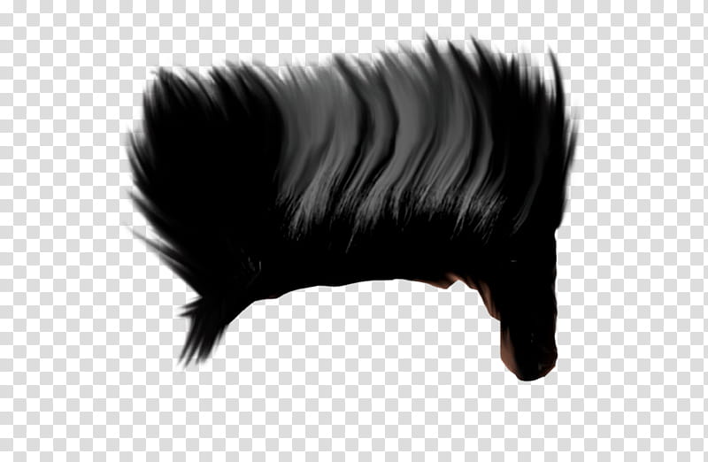 Brush, Editing, Hair, Black Hair, Tutorial, Feather, Fur, Eyelash transparent background PNG clipart