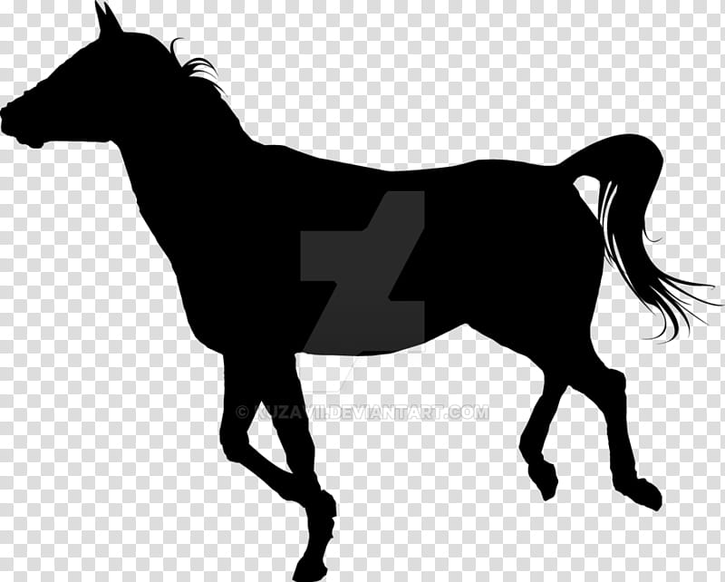 Dark Horse transparent background PNG clipart