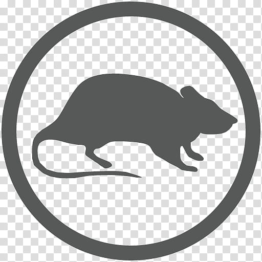 Tasmanian Devil, Arrow, User Interface, Circle, Disk, Rat Trap, Symbol, Plate transparent background PNG clipart