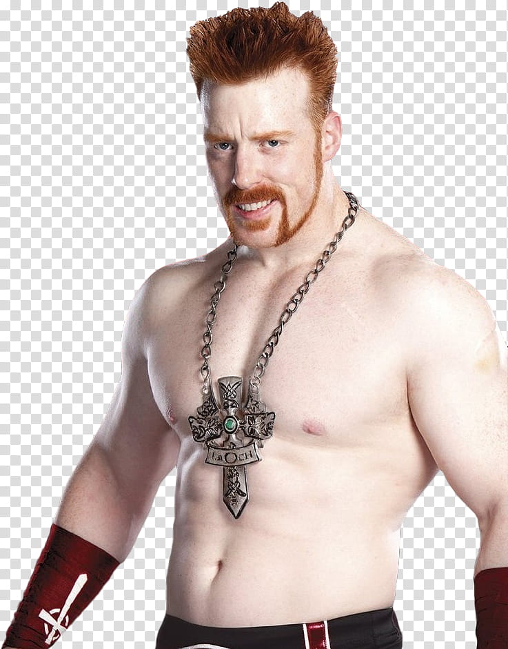 Sheamus Alma Editions transparent background PNG clipart