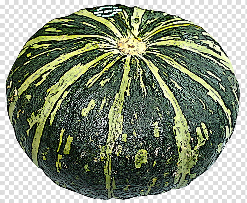Pumpkin, Cucurbita, Winter Squash, Calabaza, Vegetable, Cucumber Gourd And Melon Family, Plant, Figleaf Gourd transparent background PNG clipart