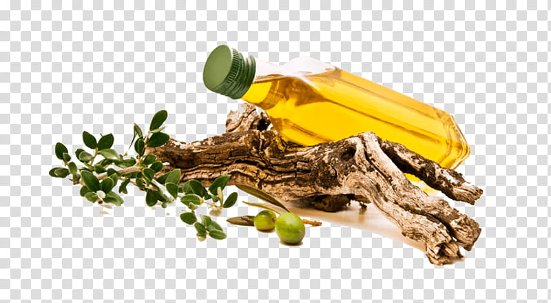 Olive Oil, Italian Cuisine, Greek Cuisine, Spanish Cuisine, Vinaigrette, Avocado, Vegetable Oil, Sardines As Food transparent background PNG clipart
