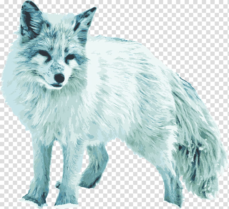 Fox Drawing, Arctic Fox, RED Fox, Fur, Animal, True Foxes, Animal Figure, Wildlife transparent background PNG clipart